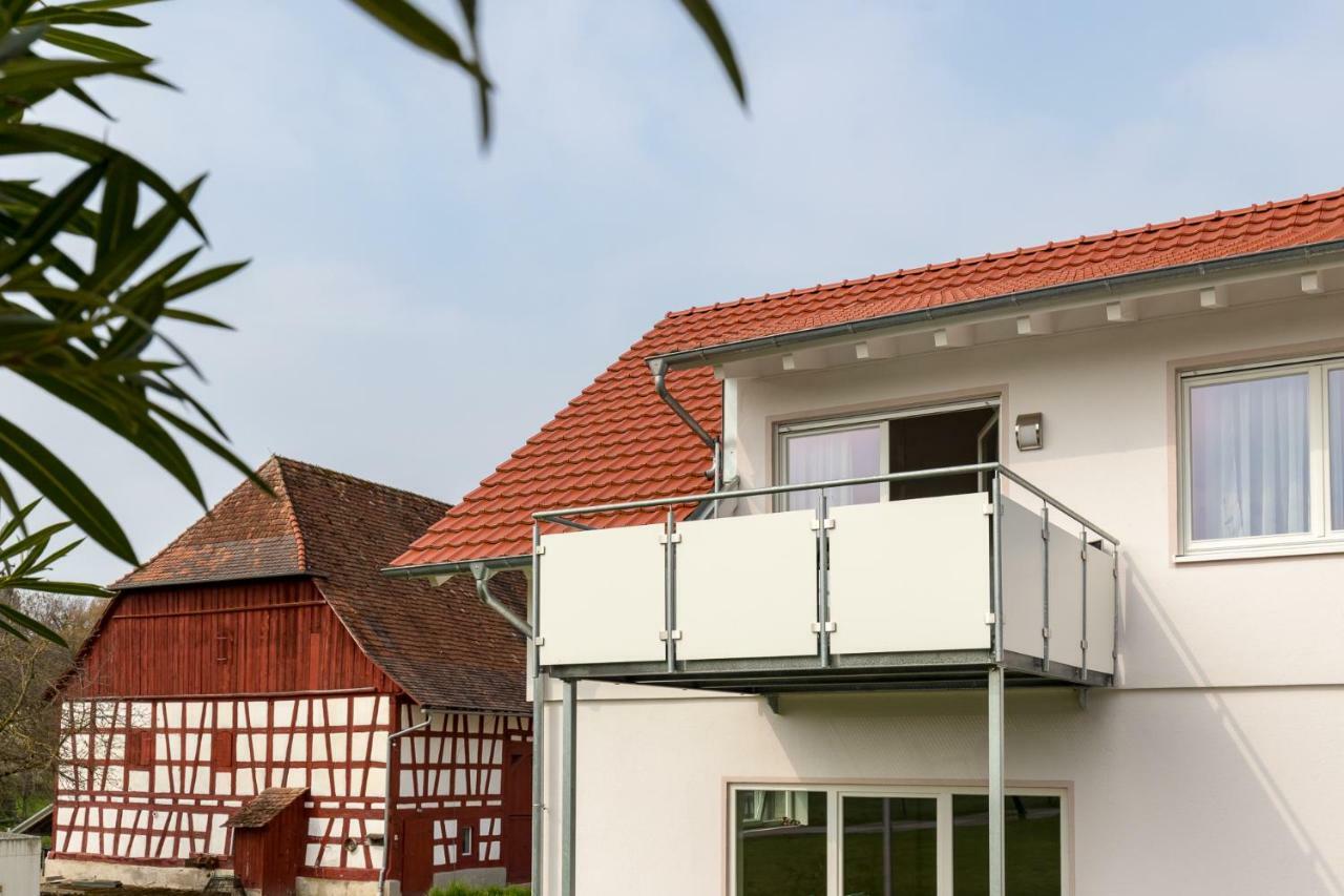 Ferienwohnungen Hoedingen, Bernhard Vogler Goldach Exterior photo